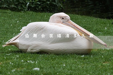 逾期会在结清多久后 逾期会在结清多久后