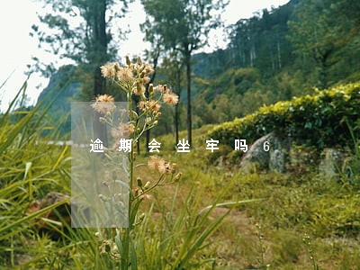 逾期会坐牢吗6 逾期会坐牢吗6