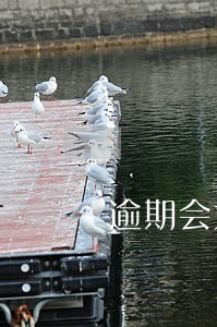 逾期会大多久的通话记录 逾期会大多久的通话记录
