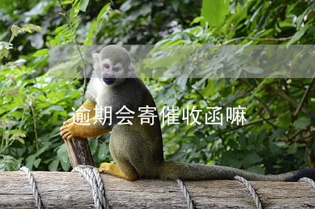 逾期会寄催收函嘛