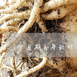 逾期会导致什么 逾期会导致什么