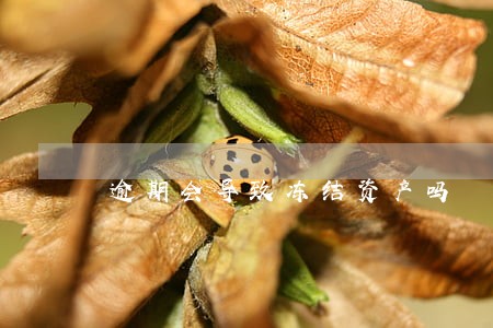 逾期会导致冻结资产吗
