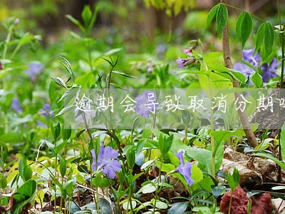 逾期会导致取消分期吗 逾期会导致取消分期吗