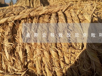 逾期会导致改款失败吗