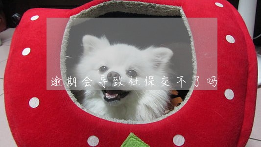 逾期会导致社保交不了吗