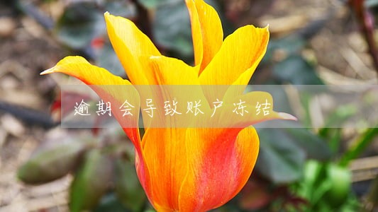 逾期会导致账户冻结
