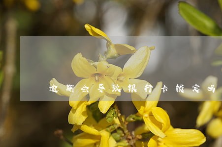 逾期会导致银行卡锁定吗 逾期会导致银行卡锁定吗