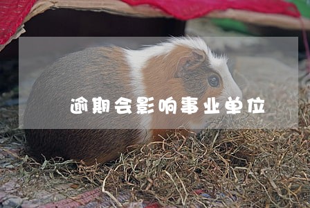 逾期会影响事业单位