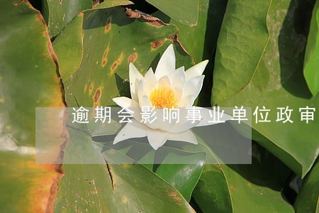 逾期会影响事业单位政审吗 逾期会影响事业单位政审吗