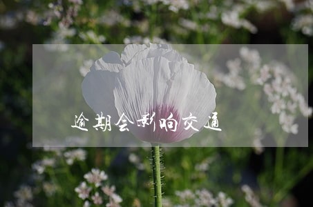 逾期会影响交通 逾期会影响交通