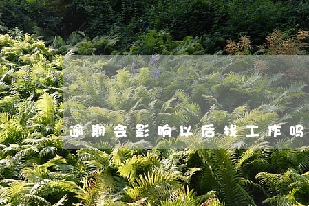 逾期会影响以后找工作吗 逾期会影响以后找工作吗