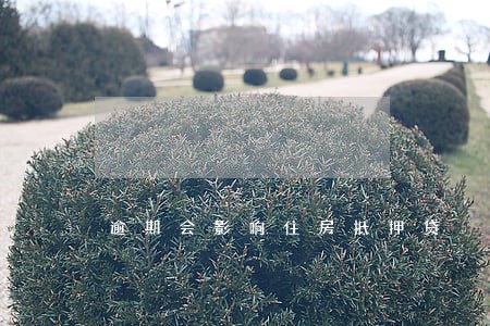 逾期会影响住房抵押贷 逾期会影响住房抵押贷