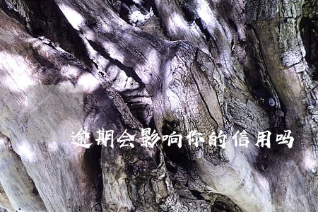 逾期会影响你的信用吗 逾期会影响你的信用吗