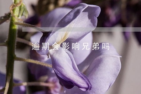 逾期会影响兄弟吗 逾期会影响兄弟吗