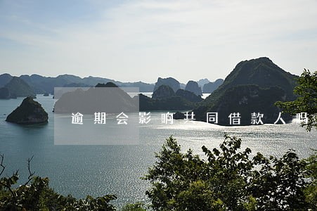 逾期会影响共同借款人吗