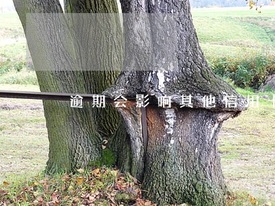 逾期会影响其他信用卡吗 逾期会影响其他信用卡吗