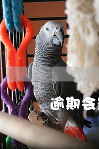 逾期会影响其他的贷款还款吗 逾期会影响其他的贷款还款吗