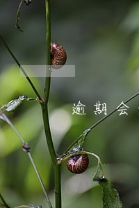 逾期会影响利率期限结构 逾期会影响利率期限结构