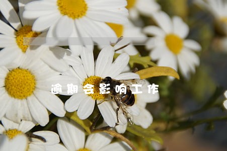 逾期会影响工作 逾期会影响工作