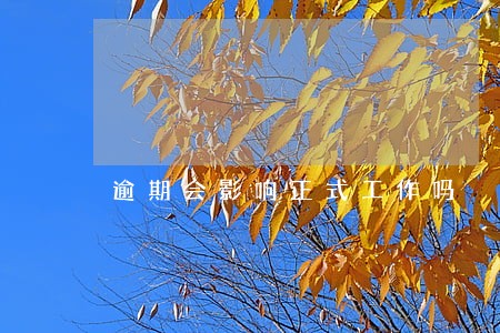逾期会影响正式工作吗 逾期会影响正式工作吗