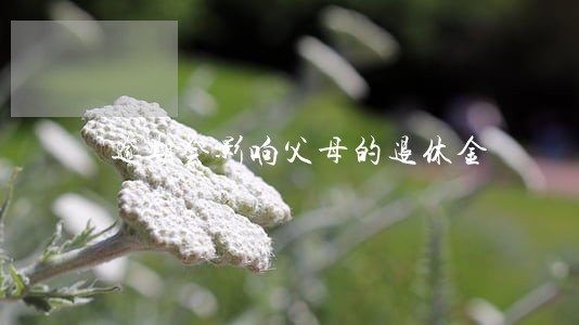 逾期会影响父母的退休金 逾期会影响父母的退休金