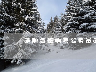 逾期会影响考公务员政审么 逾期会影响考公务员政审么
