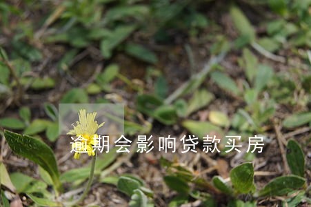 逾期会影响贷款买房 逾期会影响贷款买房