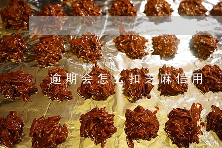 逾期会怎么扣芝麻信用 逾期会怎么扣芝麻信用