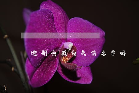 逾期会成为失信名单吗