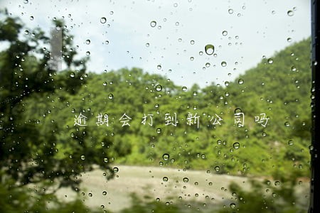逾期会打到新公司吗 逾期会打到新公司吗