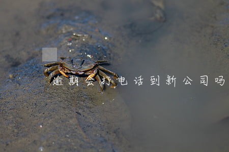 逾期会打电话到新公司吗 逾期会打电话到新公司吗