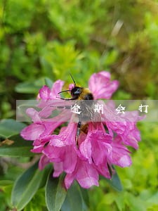 逾期会打电话给公司吗 逾期会打电话给公司吗