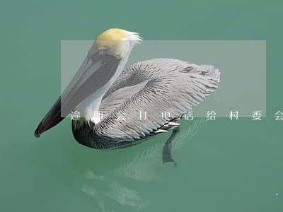逾期会打电话给村委会吗 逾期会打电话给村委会吗