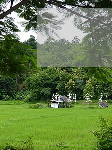 逾期会打通讯录吗