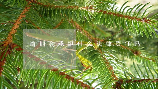逾期会承担什么法律责任吗 逾期会承担什么法律责任吗