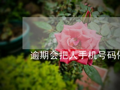 逾期会把人手机号码停掉吗 逾期会把人手机号码停掉吗