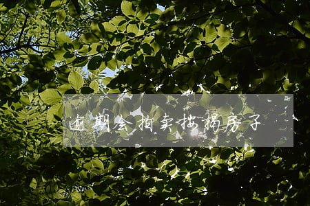 逾期会拍卖按揭房子 逾期会拍卖按揭房子