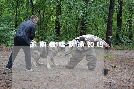 逾期会接到通知吗 逾期会接到通知吗