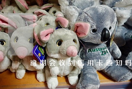逾期会收到信用卡通知吗 逾期会收到信用卡通知吗