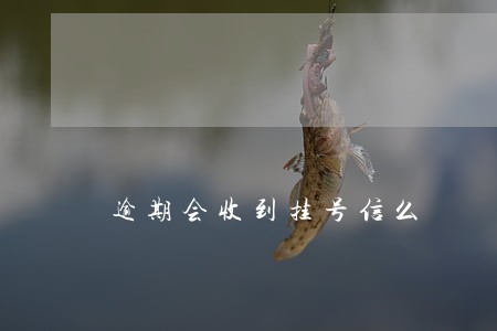 逾期会收到挂号信么 逾期会收到挂号信么