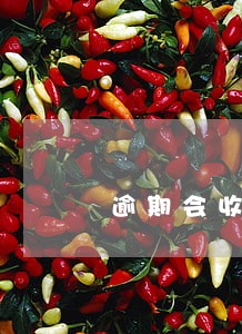 逾期会收滞纳金吗 逾期会收滞纳金吗