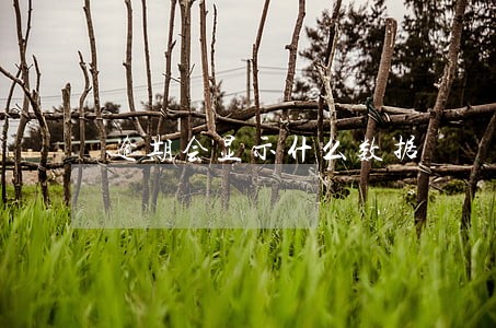 逾期会显示什么数据 逾期会显示什么数据