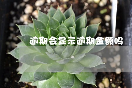 逾期会显示逾期金额吗 逾期会显示逾期金额吗