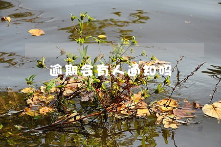 逾期会有人通知吗 逾期会有人通知吗