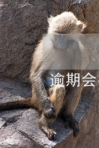 逾期会有什么后果 逾期会有什么后果
