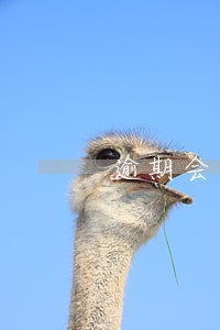 逾期会有其他费用吗 逾期会有其他费用吗