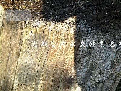逾期会有永久性黑名单么 逾期会有永久性黑名单么