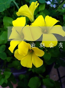 逾期会有现金流流入 逾期会有现金流流入