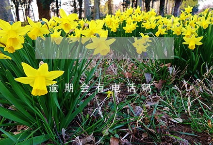 逾期会有电话吗 逾期会有电话吗