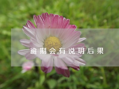 逾期会有说明后果 逾期会有说明后果